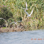 DSCN9491.JPG