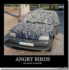 Angry Birds