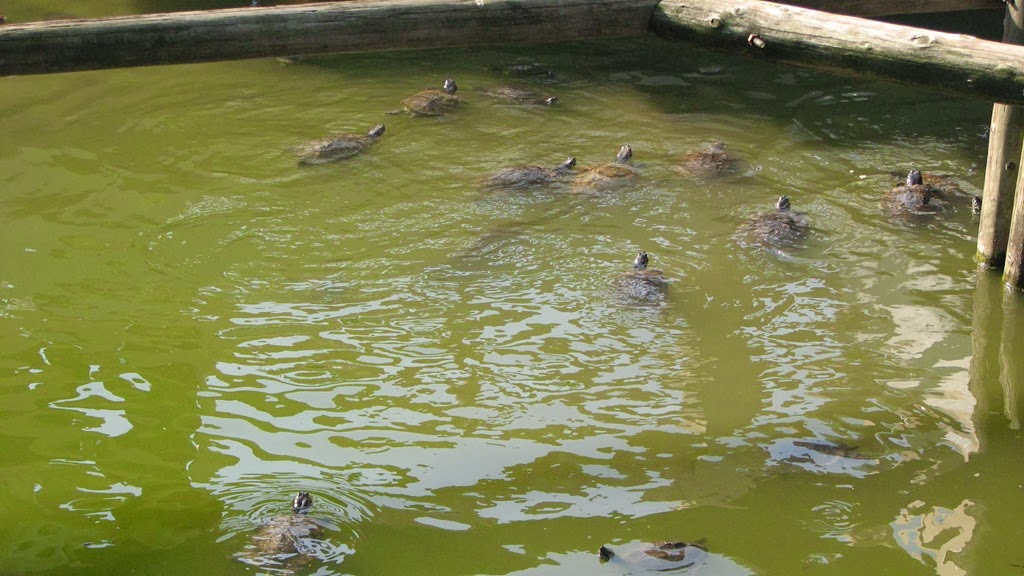 [IMG_4037%255B3%255D.jpg]