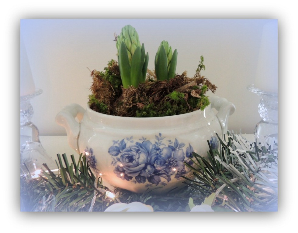 [DSCN1695%255B5%255D.jpg]