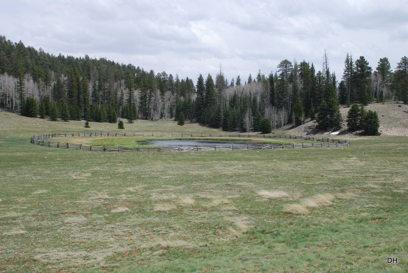 [05-17-13-C-Kaibab-National-Forest-Dr%255B11%255D.jpg]