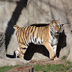IMG_7658.JPG
