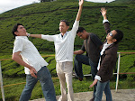Tea garden solok.JPG