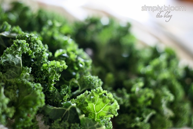 [Kale1of13.jpg]