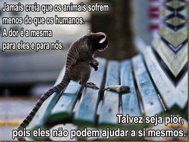 sofrimento-animais