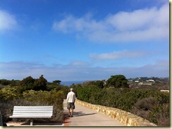 IMG_2834 IMG_2834