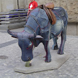 Europe Trip - Cows - cow22.JPG