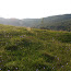 P8308911.JPG