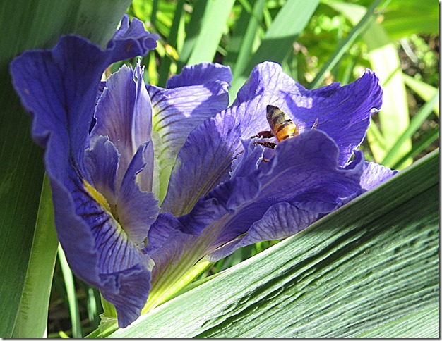 IMG_0107 IMG_0107