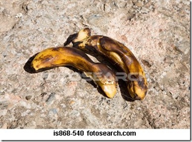 two-rotting-bananas_~IS868-540