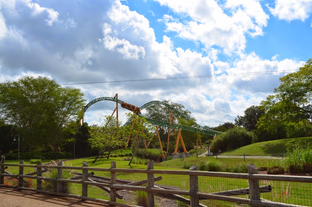 [DSC_8781%255B3%255D.jpg]