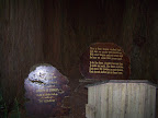 california_sequoia