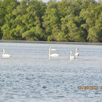 IMG_7895.JPG
