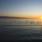 20080828-DSC_8926.jpg