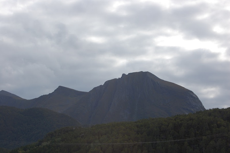 DSC_0028 DSC_0028