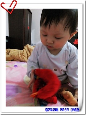 DSCF6203 DSCF6203