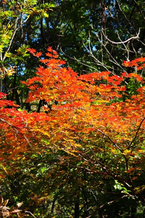 [SYG_4859%255B7%255D.jpg]