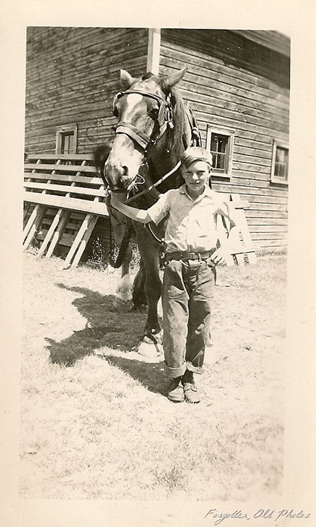 [Farm%2520horse%255B11%255D.jpg]