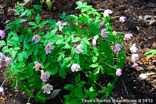 [DSC_0021%255B15%255D.jpg]