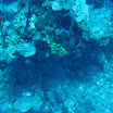 Single Cruise jan 2008 137.JPG