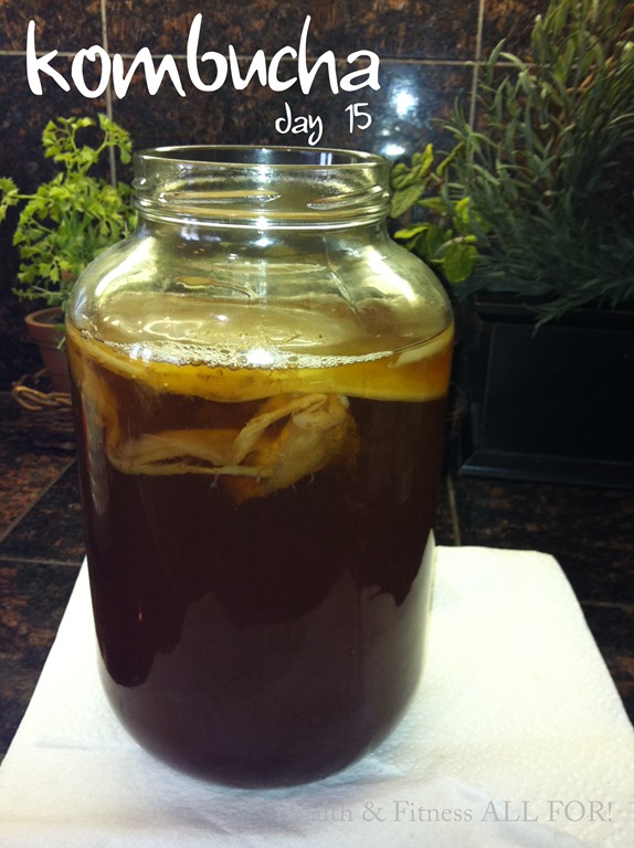 [kombucha-day-155.jpg]