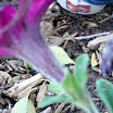 my photos 034.JPG