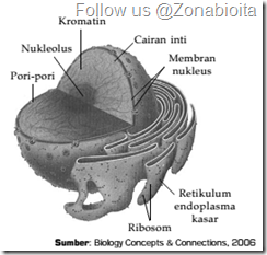 inti sel _zonabiokita inti sel _zonabiokita