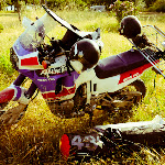 voyage à moto corse voyage moto corse