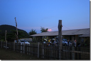 IMG_1295 IMG_1295