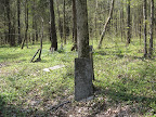 cemetery on trail 433 (near Indian Kitchen)