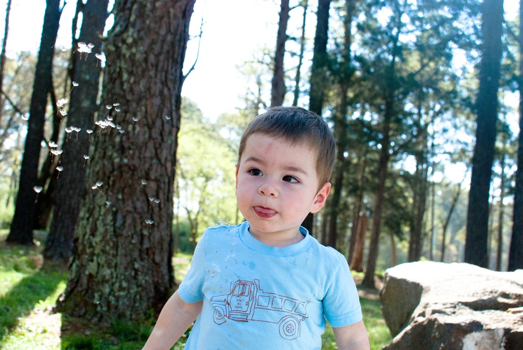 [DSC_4586%255B5%255D.jpg]