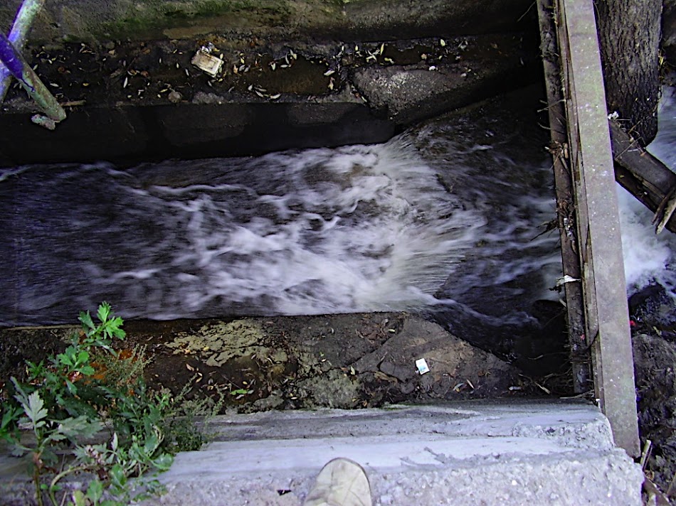 P8260291.JPG