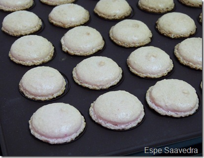 macarons espe saavedra (9)