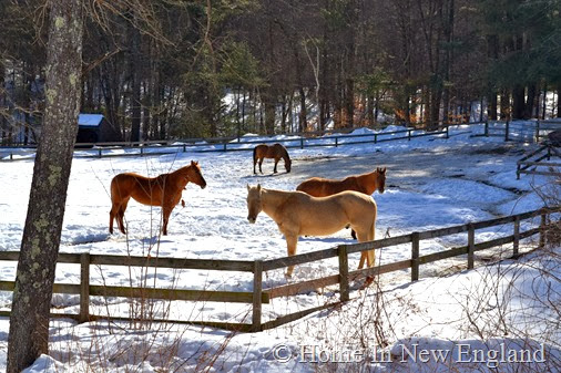 DSC_0805 DSC_0805