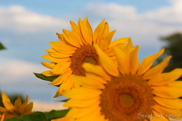 [IMG_3430A%255B3%255D.jpg]