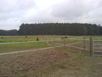 IMG_20111020_100652.jpg Photo