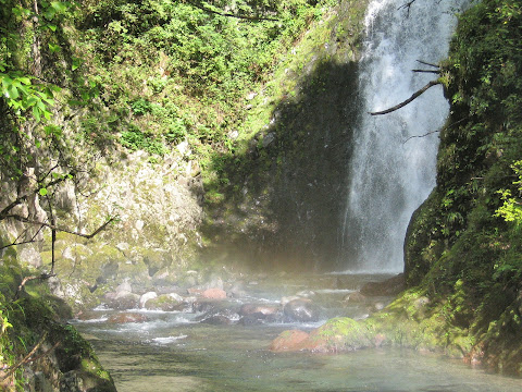 平金大滝