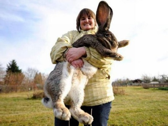 [viral-picdump-pics-e6f4f8%255B2%255D.jpg]
