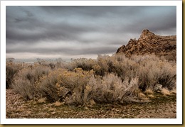 - Antelope Island_D7K3920 February 18, 2012 NIKON D7000