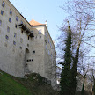 P1130244.JPG
