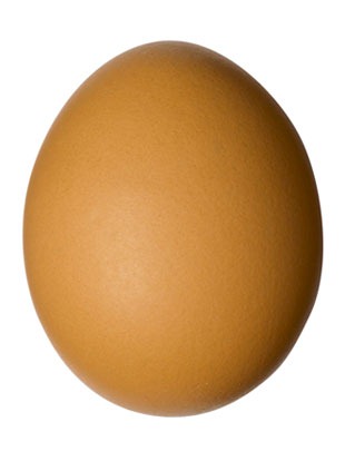 [egg%255B5%255D.jpg]