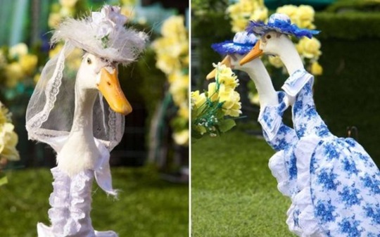 [viral-picdump-pics-b16187%255B2%255D.jpg]