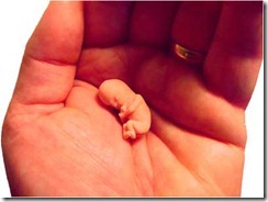 life_8weeks