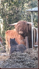 IMG_2471 IMG_2471