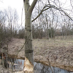 2013_04_14_Poszukiwan_cd_08.JPG