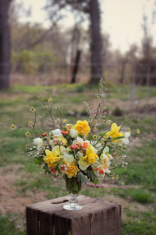 [love-n-fresh-flowers1-1jpg-daffodils.jpg]