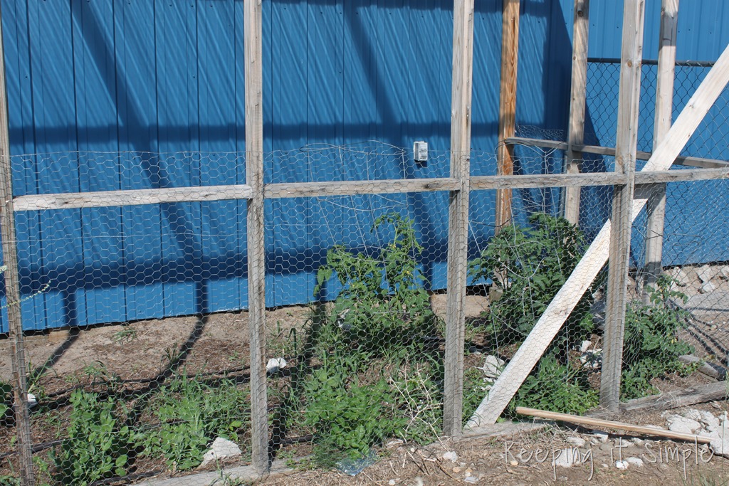 [IMG_9345%255B10%255D.jpg]