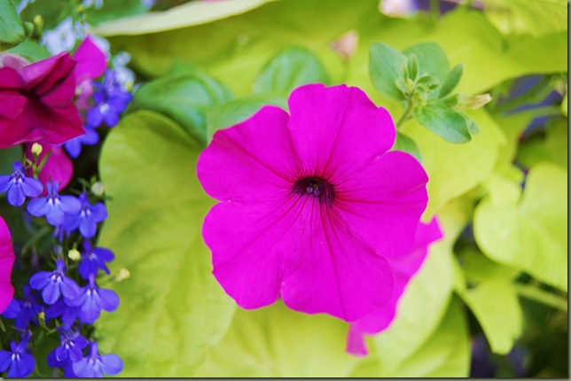 DSC_0018 DSC_0018