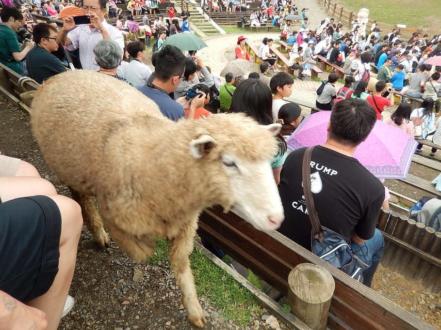 [2013_Day2_465.jpg]