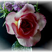 PICT0001g.JPG